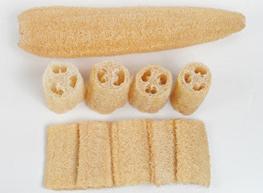 Wholesale Natural Whole Loofah Sponge – DIY Cuttable for Multi-Purpose Use | EXW Prices