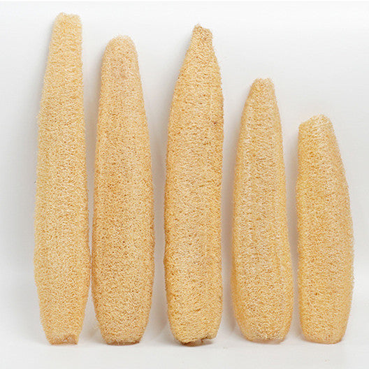 Wholesale Natural Whole Loofah Sponge – DIY Cuttable for Multi-Purpose Use | EXW Prices