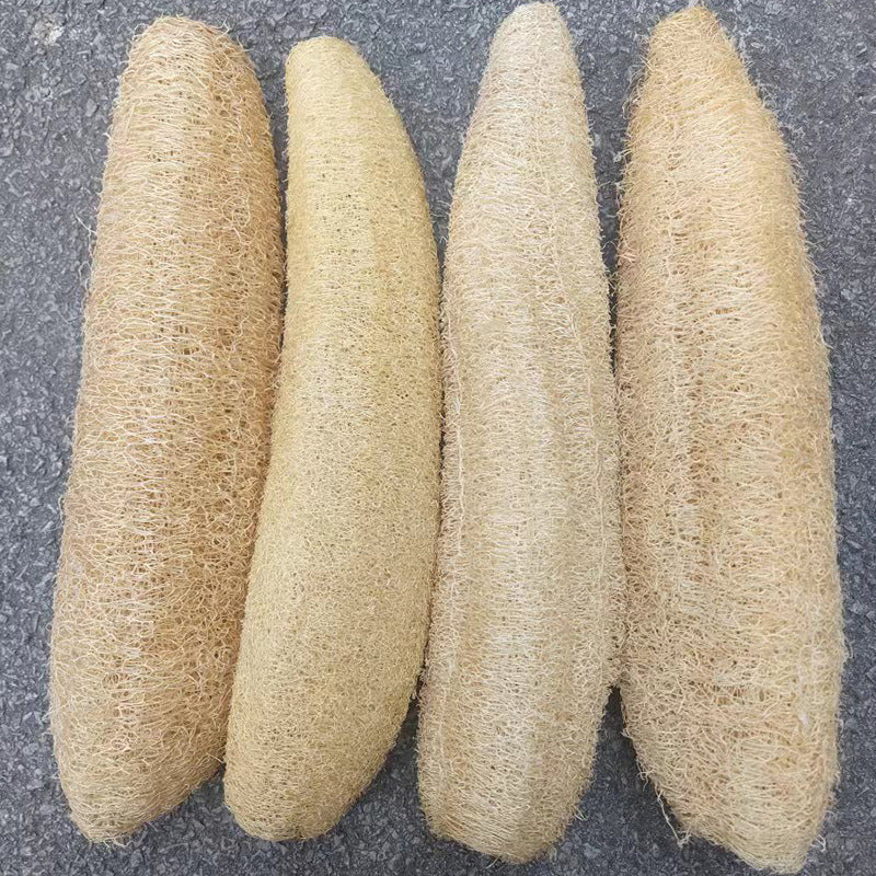 Natural Loofah Sponges Organic Luffa Bath Shower Sponge Exfoliating Body Back Scrubber for Men Women Adults SPA Beauty Bathing Daily Care - 4 PCS | EXW Prices